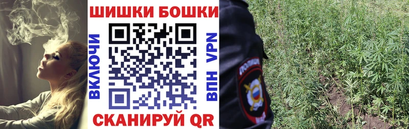 Конопля семена  где купить наркоту  Кировск 